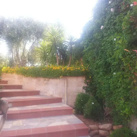 Ficodindia Villa Altavilla Milicia